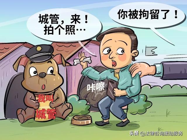 男子给狗取名“城管”“协管”，被拘10日……，这事你怎么看？